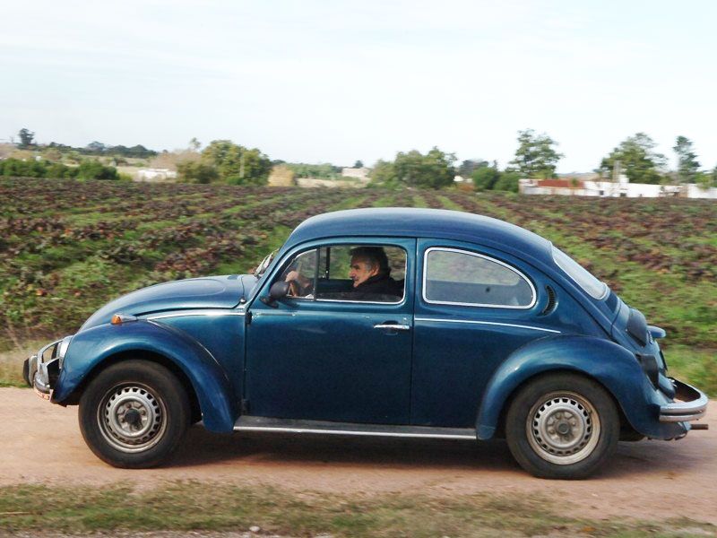 Volkswagen Beetle vw