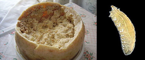 Casu marzu Casu marzu