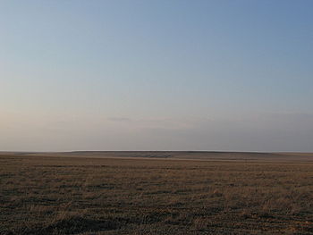 Bemiškiai, atviri žole apaugę plotai įvairiose vietovėse vadinami nevienodai. Šiaurės Amerikoje prerijomis vadinamos stepės driekiasi nuo Kanados viduryje esančios Saskačevano […]